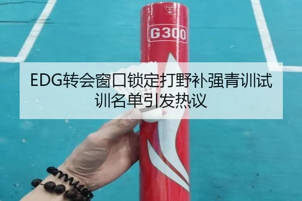 EDG转会窗口锁定打野补强青训试训名单引发热议